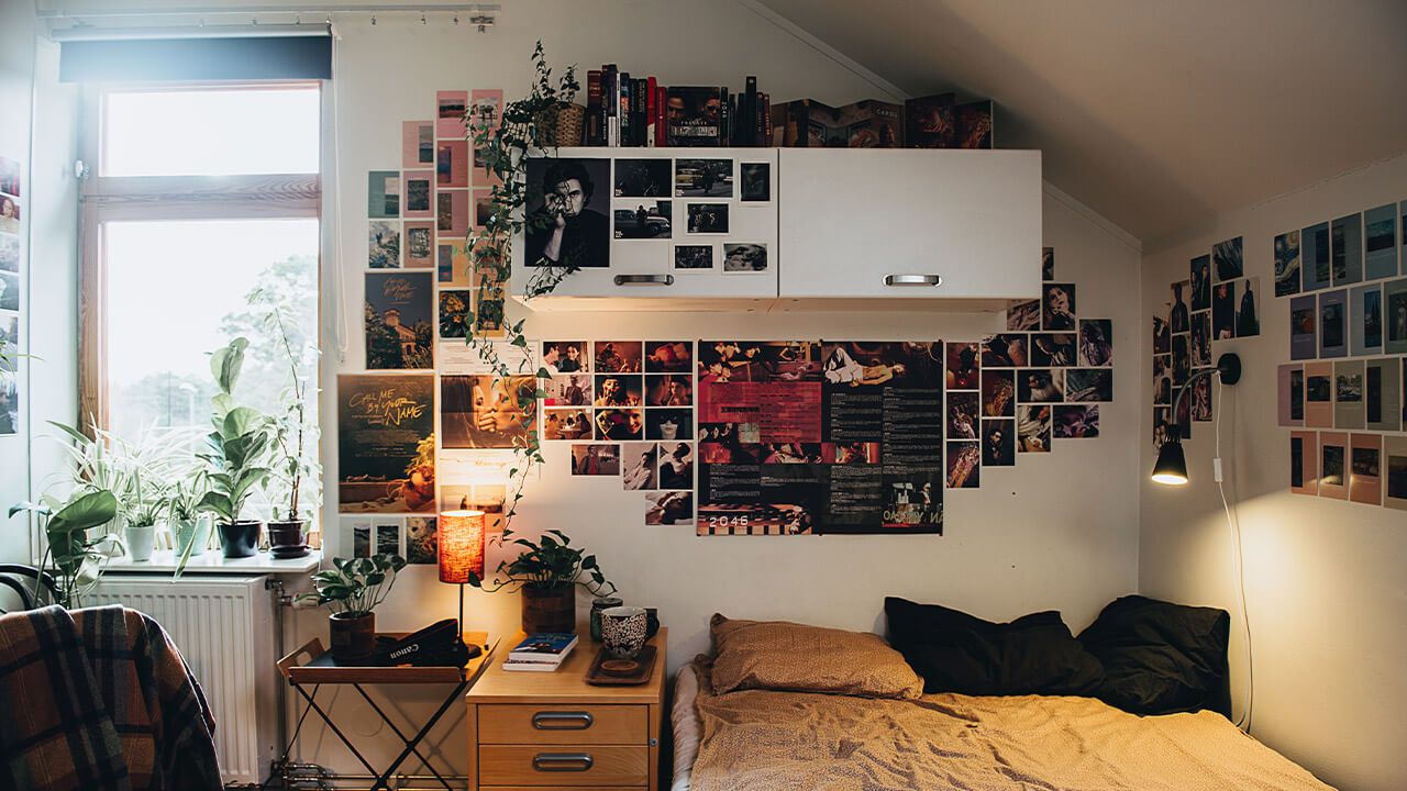 Interiör med säng, krukväxter och ett väggskåp. Foto. 